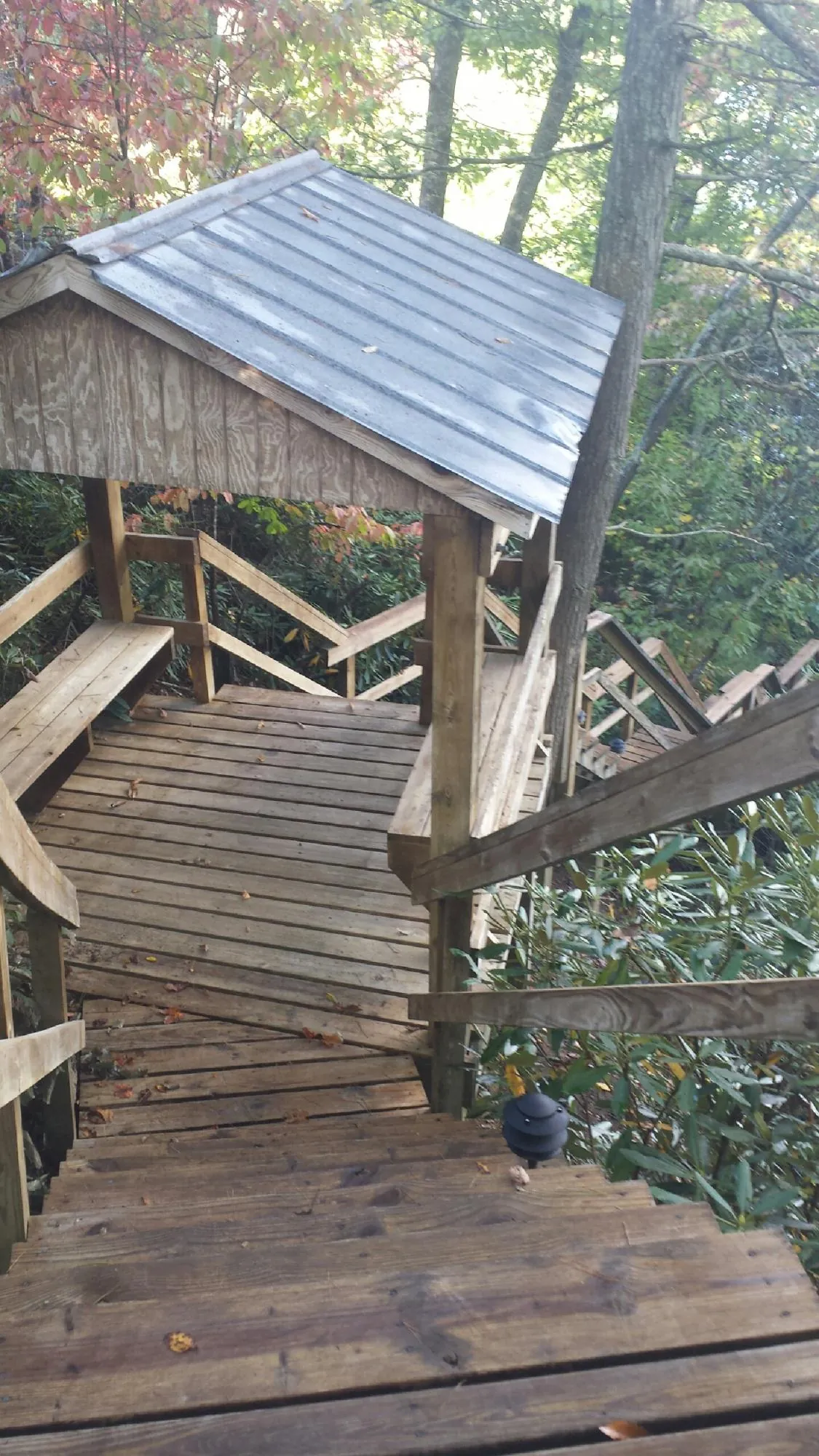 Metal roofed shelter over wooden steps on a wooded walkway — Skylight Repair & Installation work by our crew in Coupland